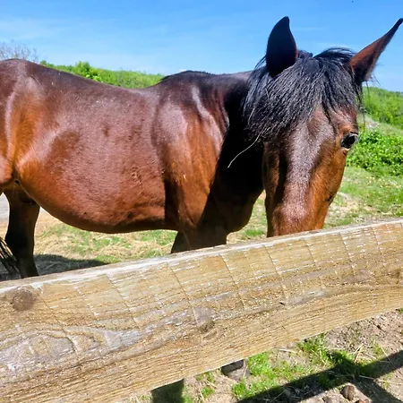 La Perle Rare